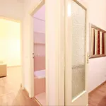 Colosseum - Big And Comfortable 公寓 罗马